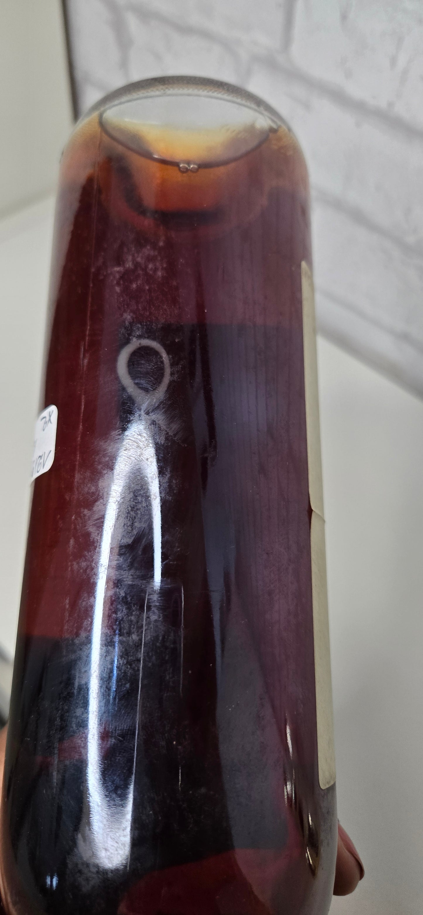 Sauternes 1988 Château Haut-Bergeron