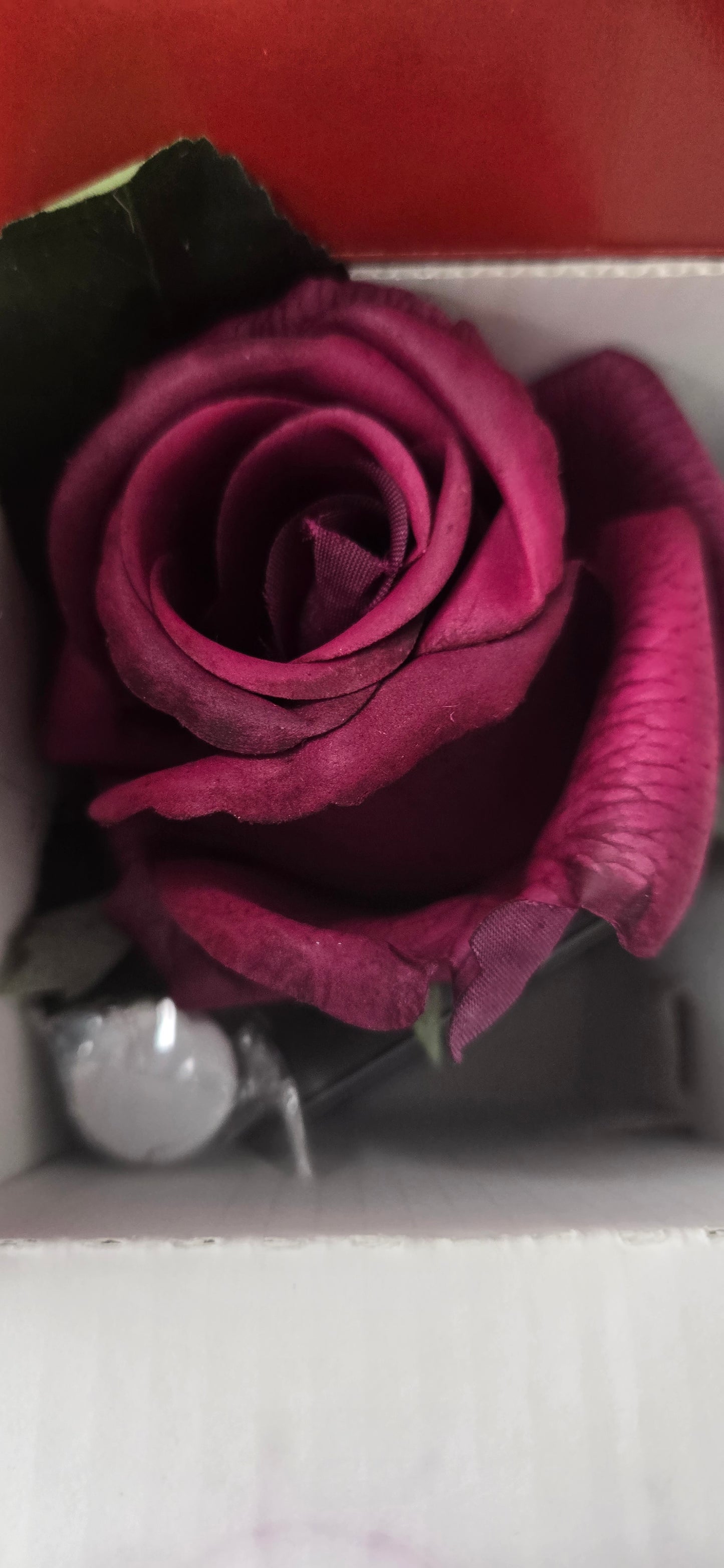 Perfumed Flower Côte Noire