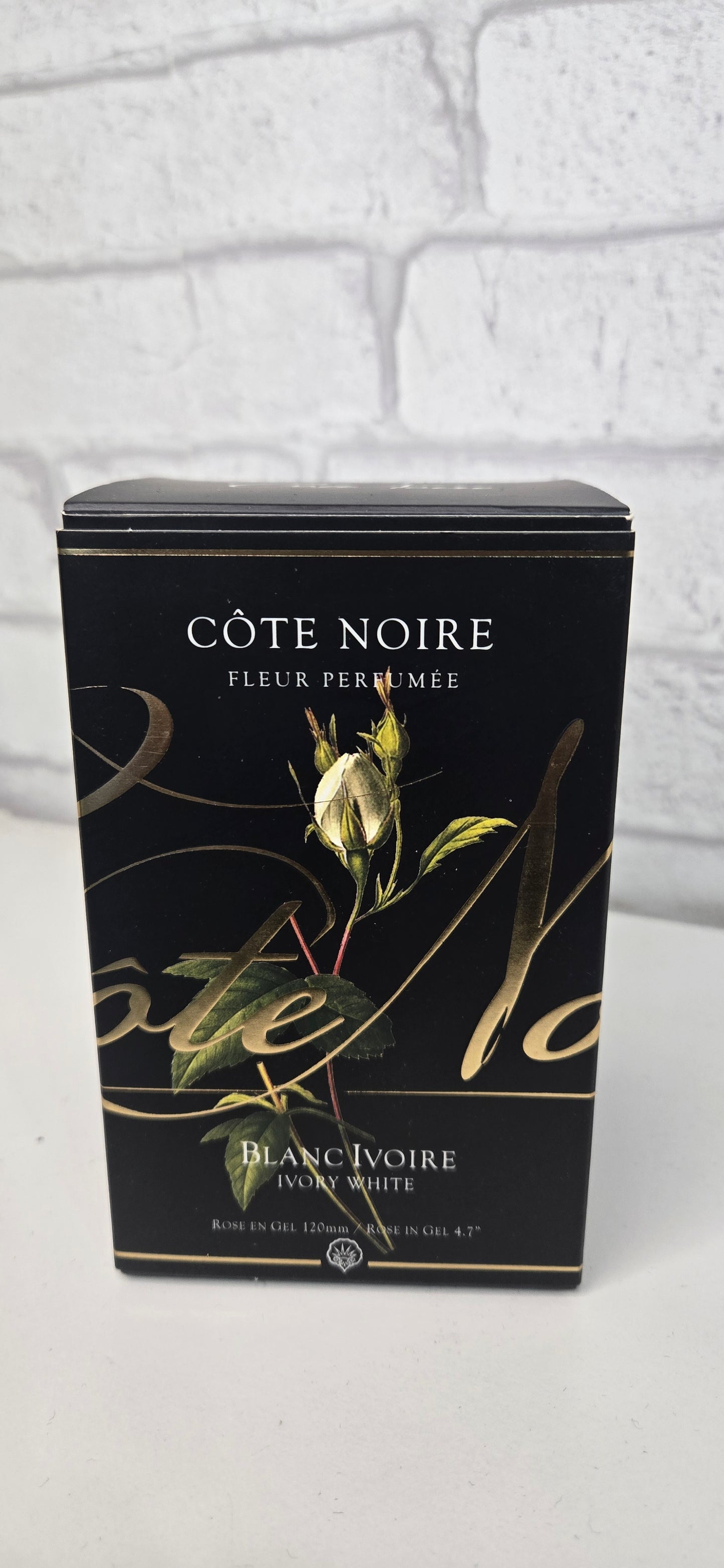 Perfumed Flower Côte Noire "Blanc Ivoire"
