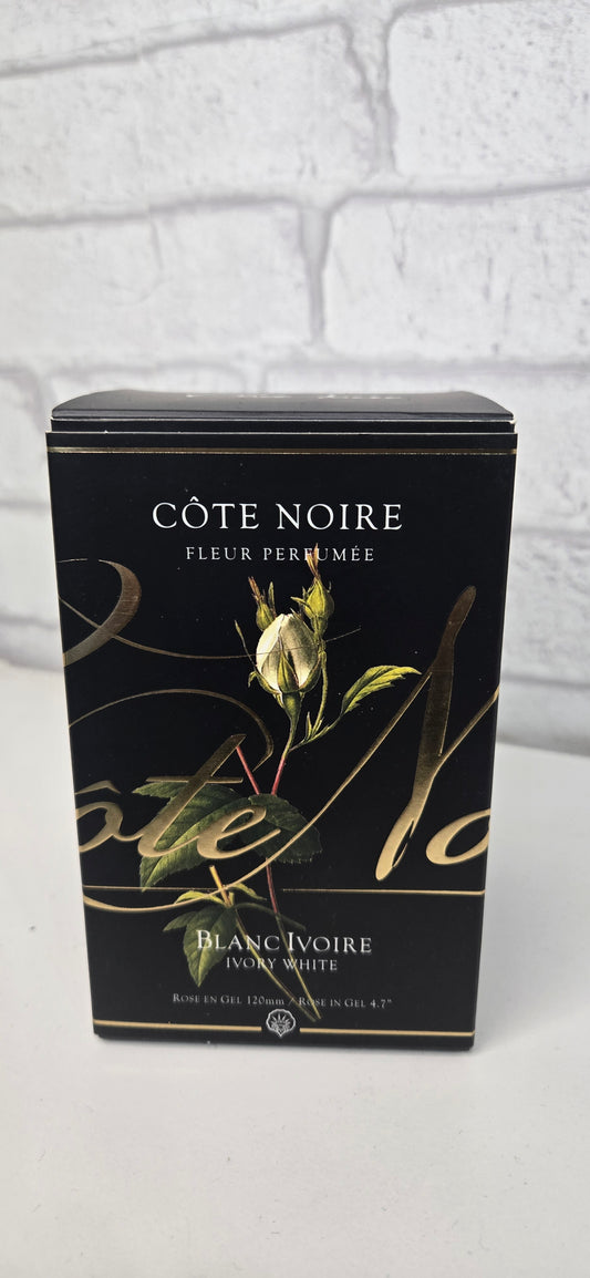 Perfumed Flower Côte Noire "Blanc Ivoire"