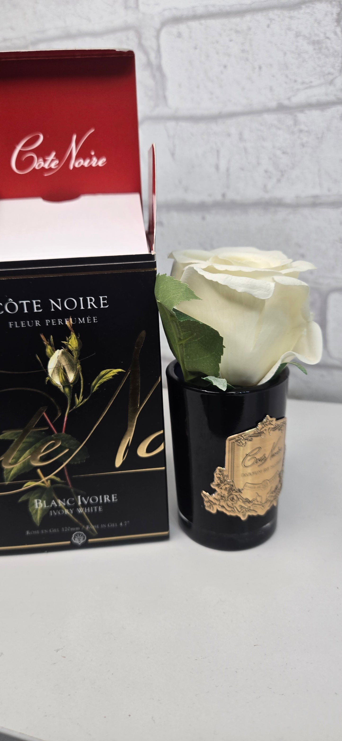 Perfumed Flower Côte Noire "Blanc Ivoire"