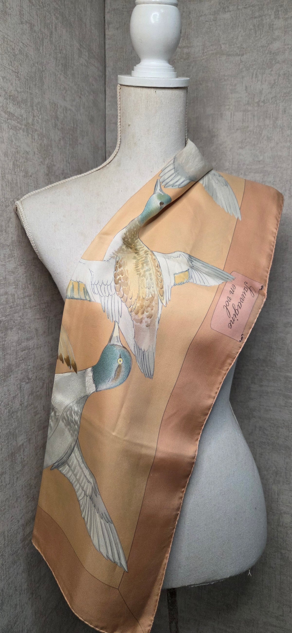 Carré Hermès en twill de soie intitulé "Sauvagine en Vol"